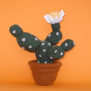Kaktus von Patricia Waller