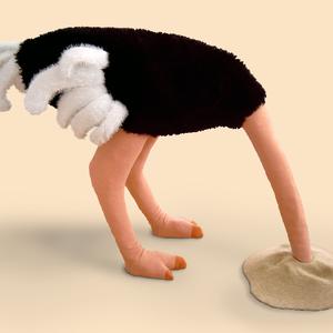 "Ostrich / Strauss", 2006 von Patricia Waller